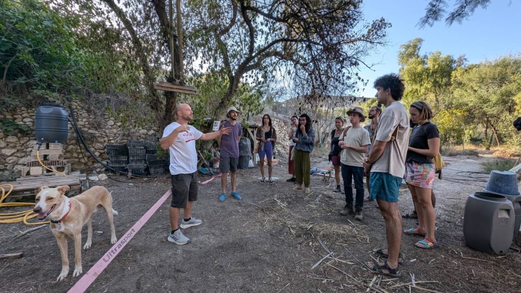 drylands nursery sunseed permaculture design course 